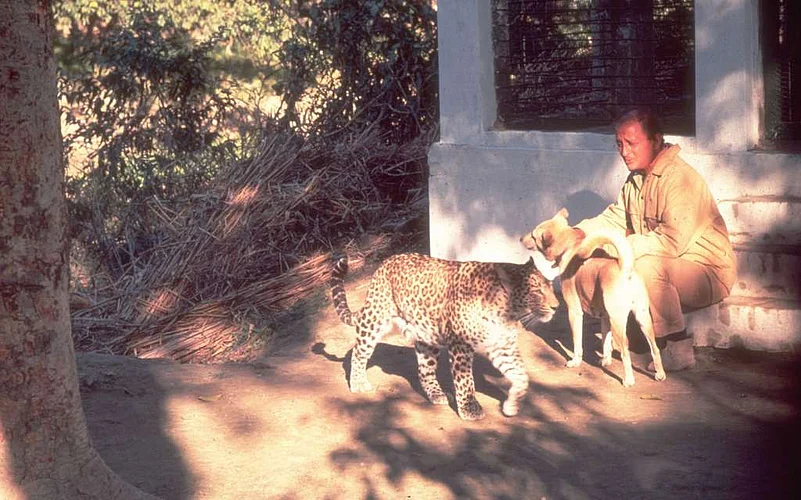 Singh gave three orphaned leopards a home.