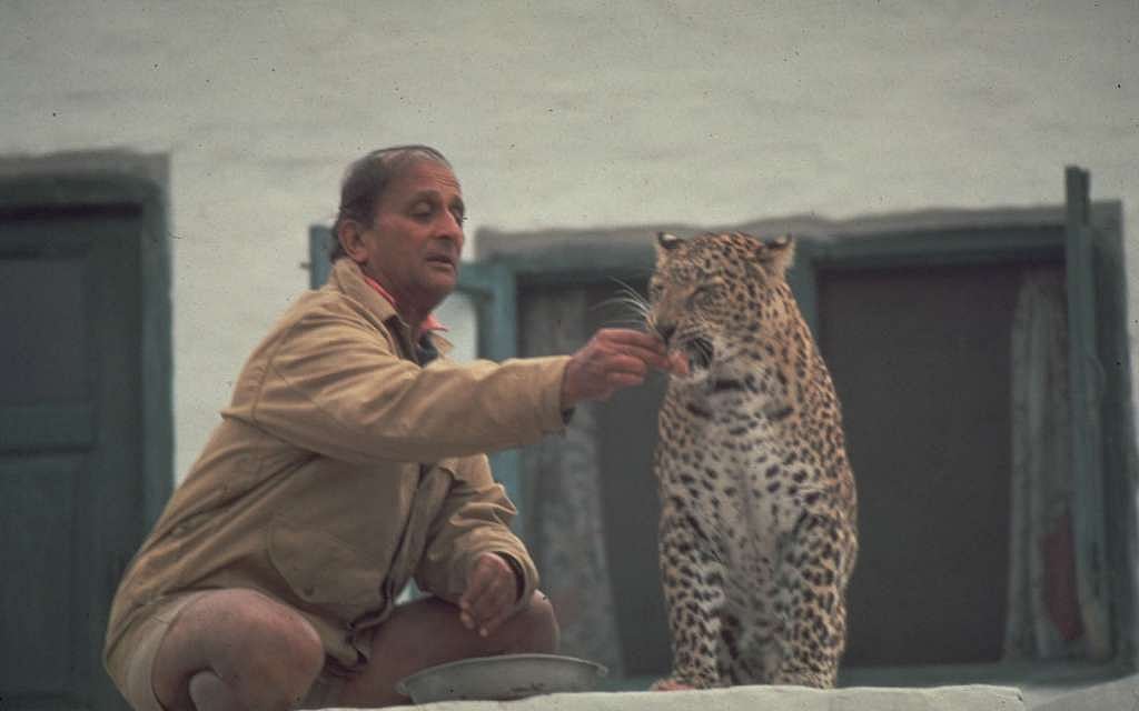 Tiger Haven Society 2025. All Rights Reserved : Arjan Billy Singh feeds one of his beloved animals.