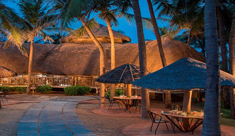 Wharf 2.0 was recently revamped.