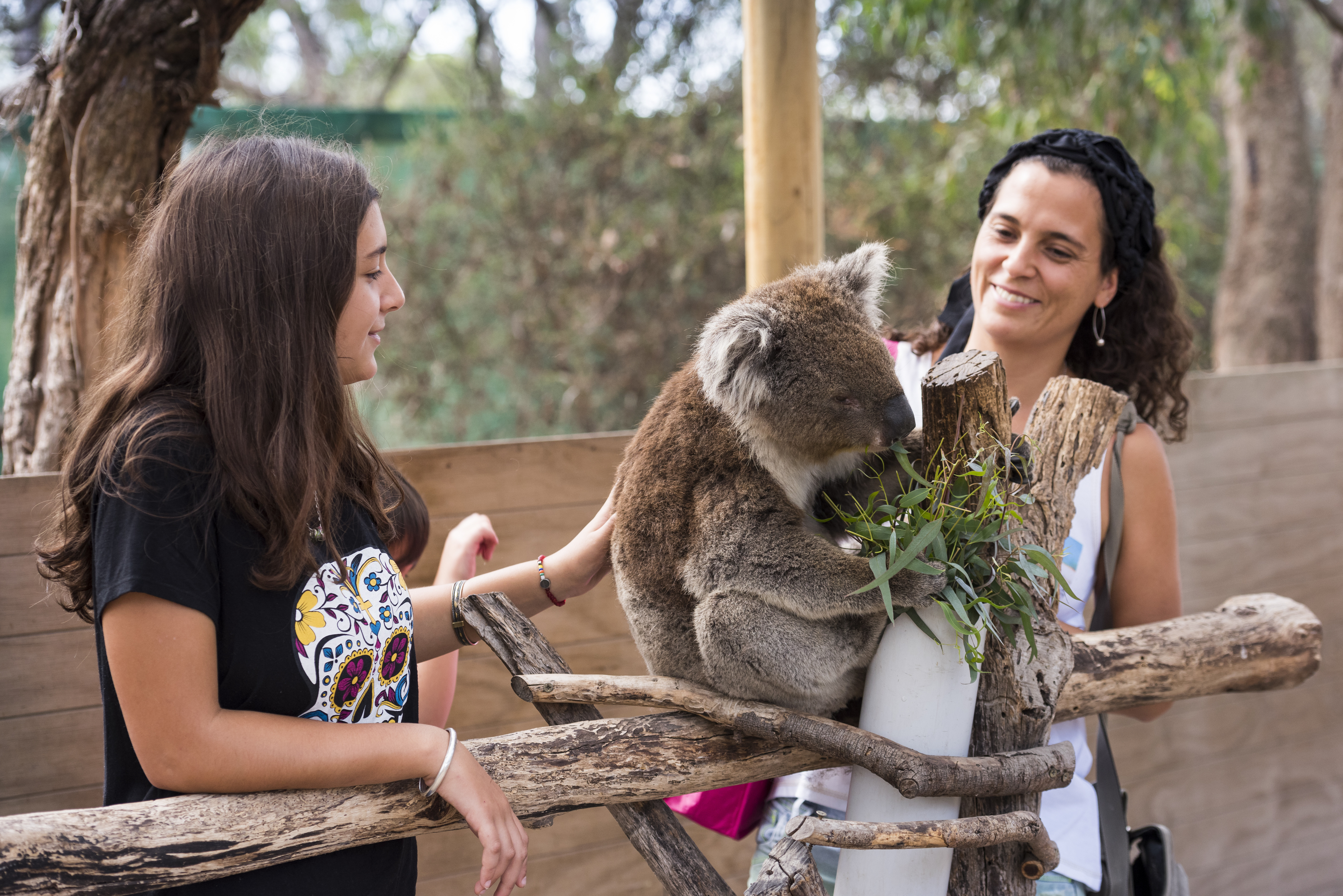 Discover all about Australias endangered species