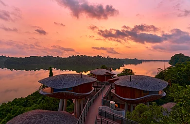 The resort has 338 guest rooms and suites, including 24 treehouses