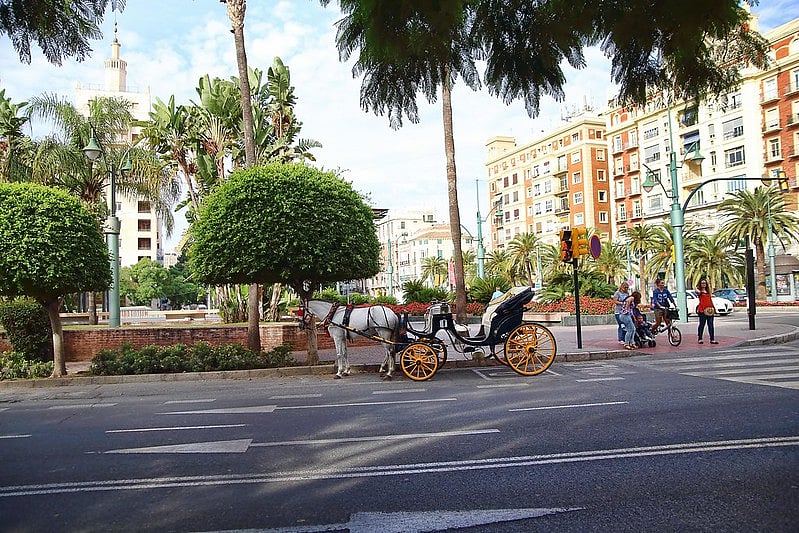 Animal rights activists view the recent development as a positive step forward.