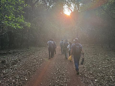 Cotigao Wildlife Sanctuary is a birder's paradise.