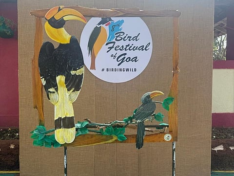 The 8th Bird Festival of Goa was held from January 17-19, 2025