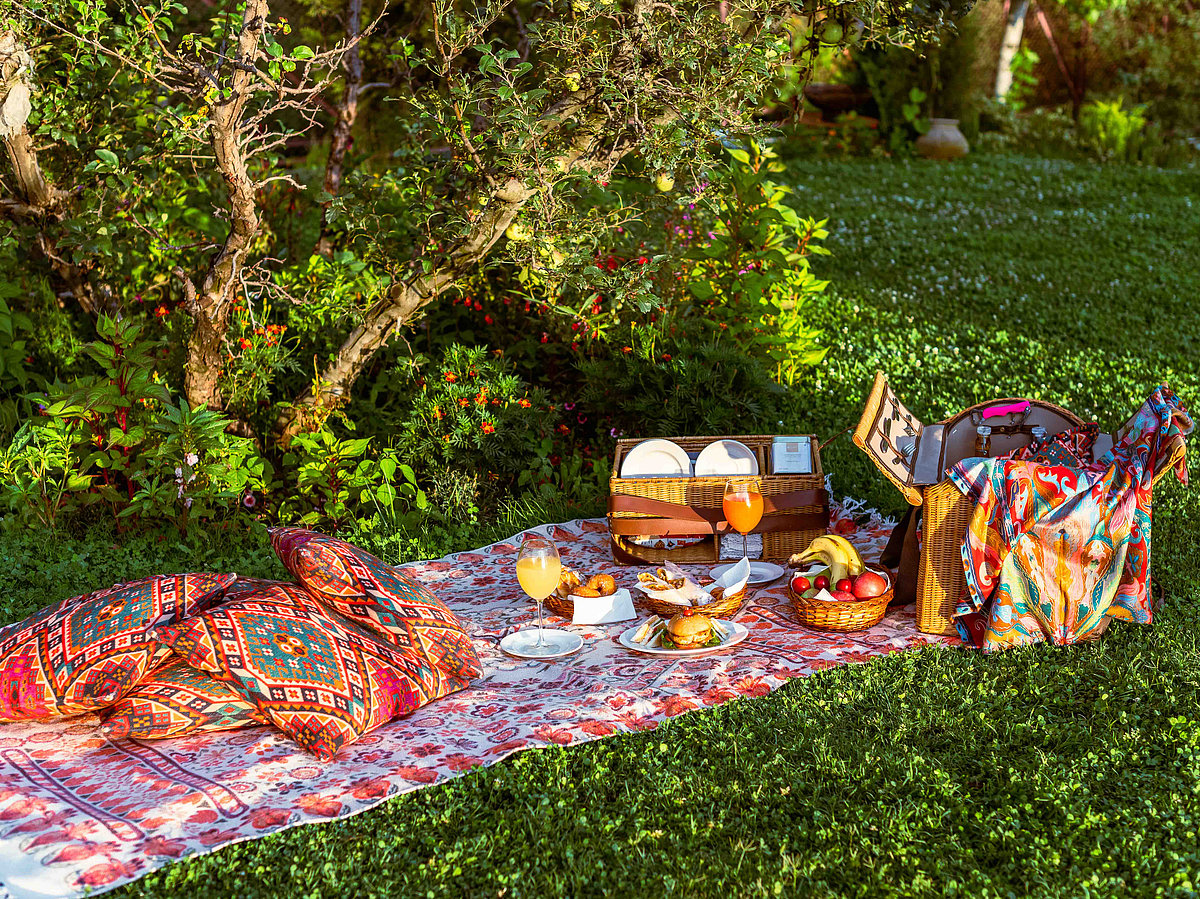 Enjoy a picnic in the orchard at Rah Bagh