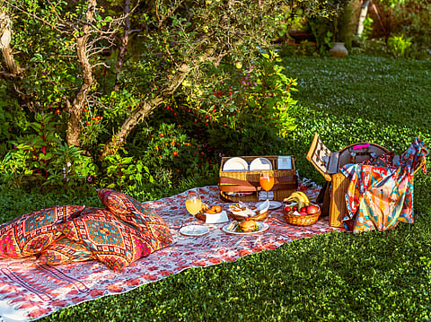 Enjoy a picnic in the orchard at Rah Bagh