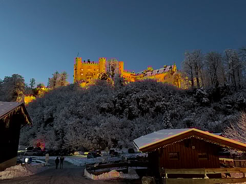  Neuschwanstein Castle inspired "Sleeping Beauty."