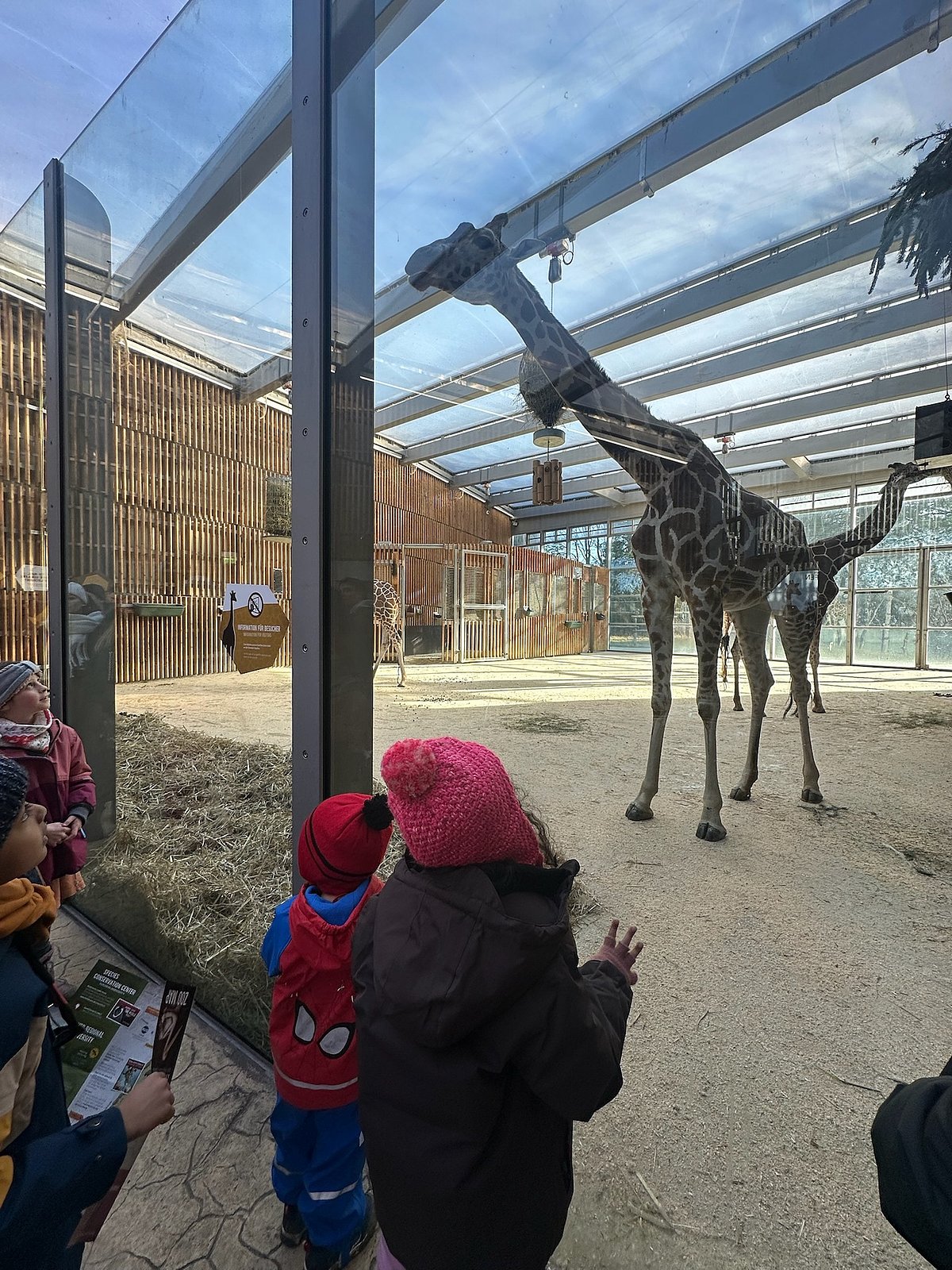 Hellabrunn Zoo is renowned as one of Europes best zoological parks.