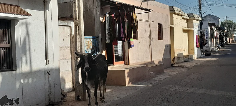 A still from the Bhujodi village