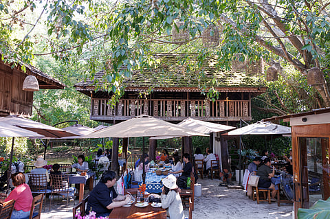 Lunch at Meena Rice Based Cuisine