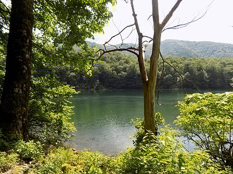 A view of Biogradska Gora National Park