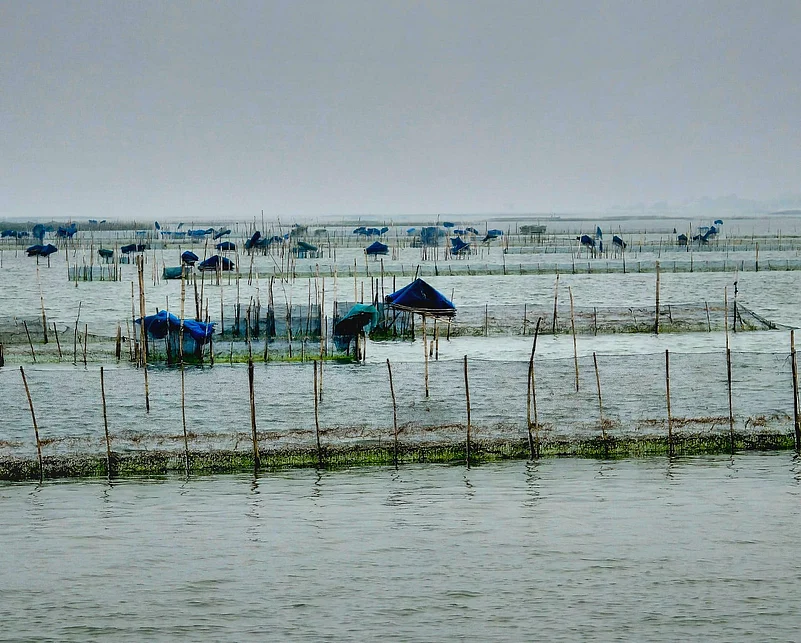 Fishing nets at Chilika Lake