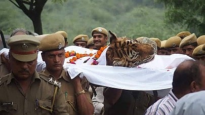 The public cremation of Machli