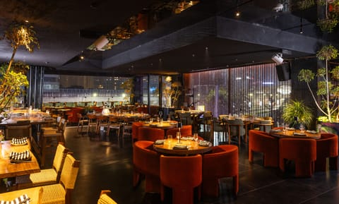 Japonico is Gurugram's newest gift to lovers of Japanese cuisine