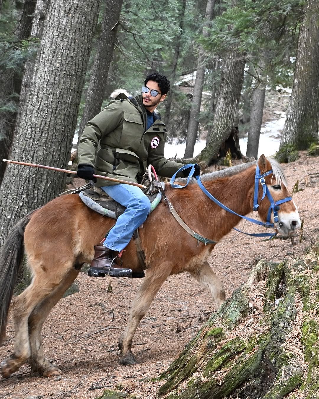 ishaankhatter/instagram : Ishaan Khatter rides a horse in Kashmir