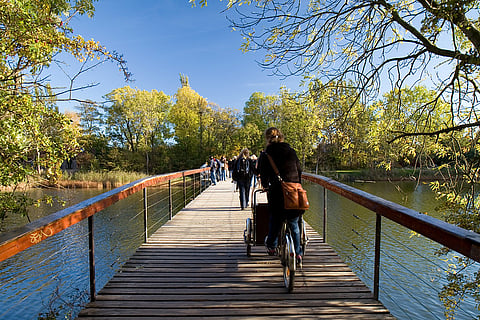 Walk around Stadsgraven