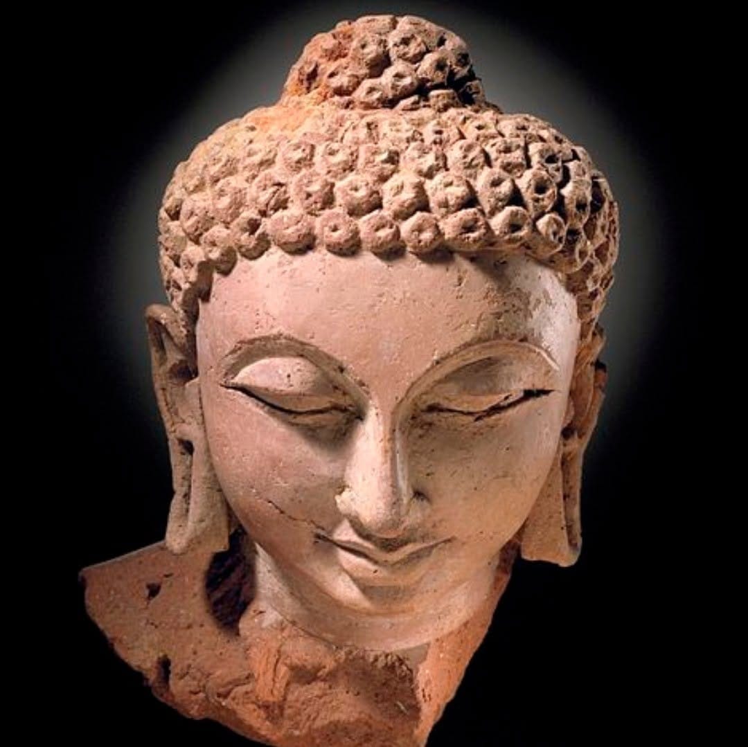 The terracotta head of the Shakyamuni Buddha was discovered at Devni Mori in Gujarat.