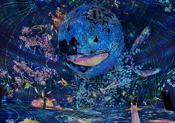 Department of Culture and Tourism (dct.gov.ae)