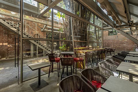 Inside Mumbai's Banyan Tree Cafe.