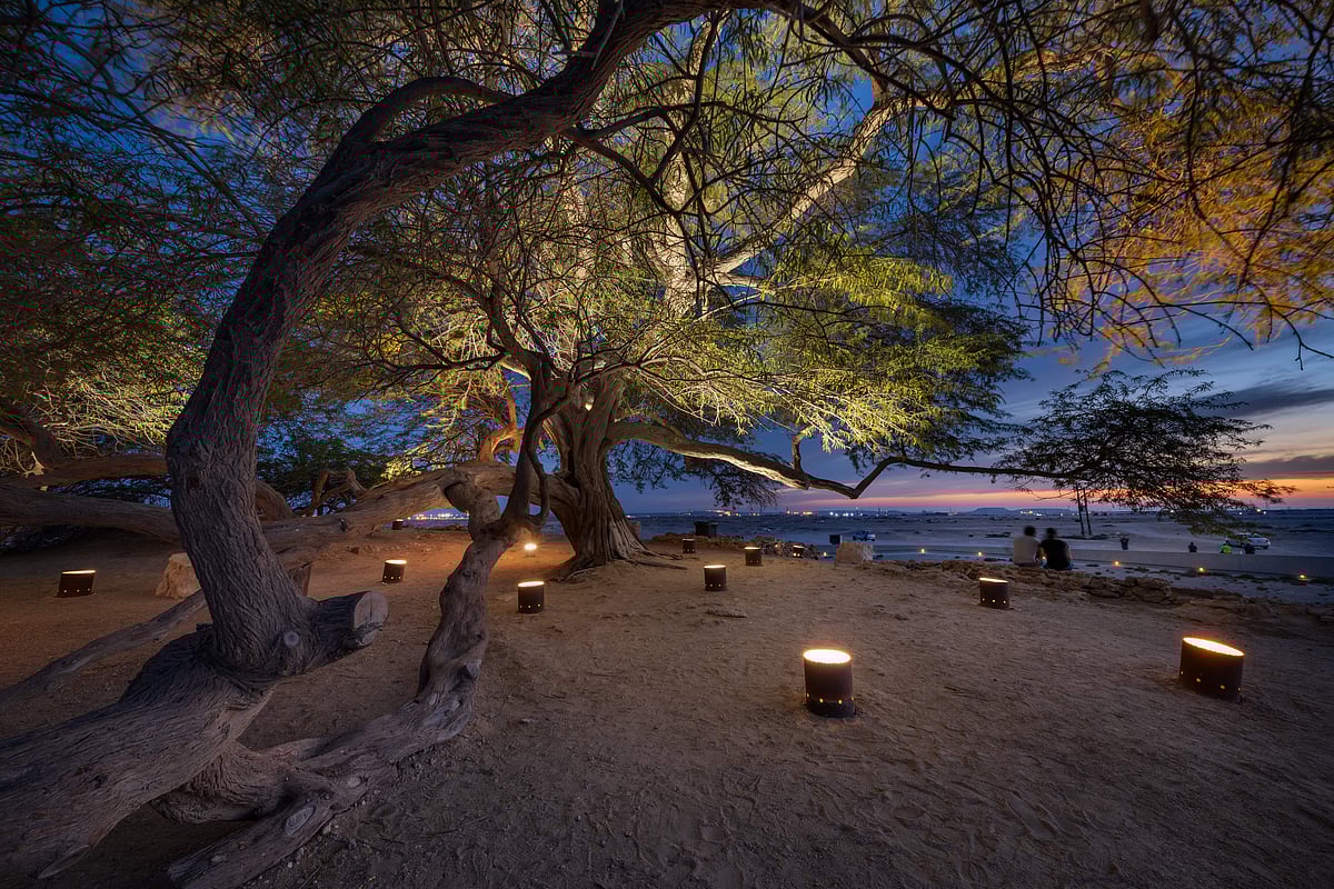 The Tree of Life is over 400 years old.