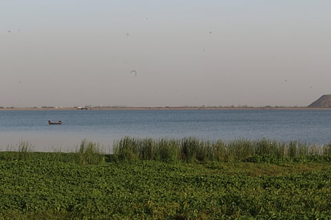 A pond in the Bokaro district of Jharkhand
