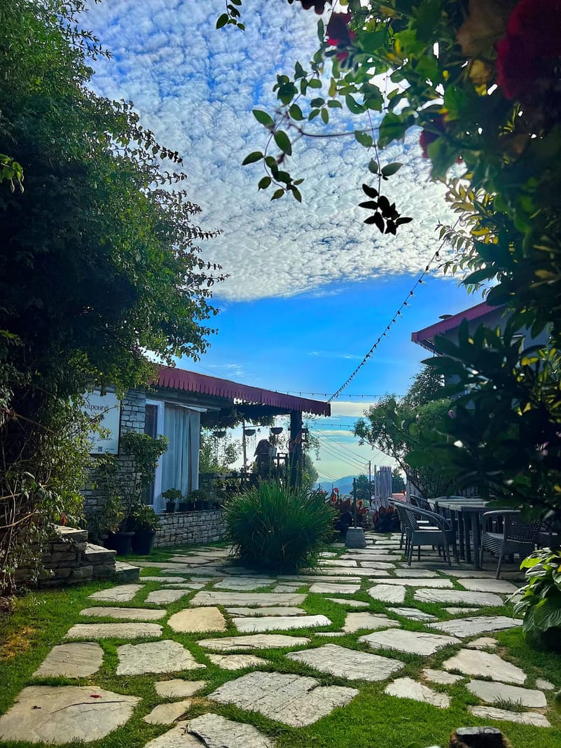 A garden at The Birdcage