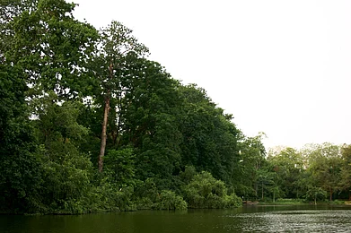 rungta/Flickr : A city park in the Bokaro district of Jharkhand. (representational image)