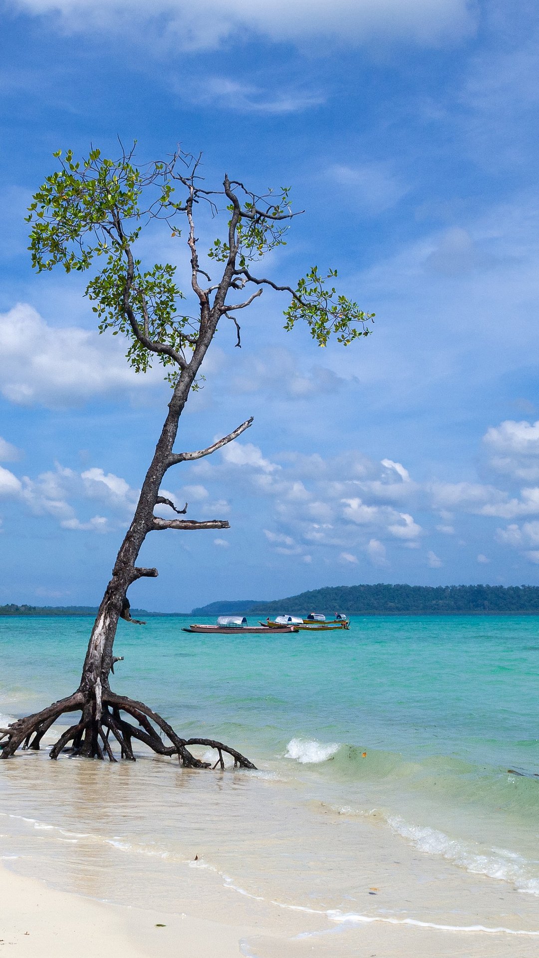A view of Havelock Island
