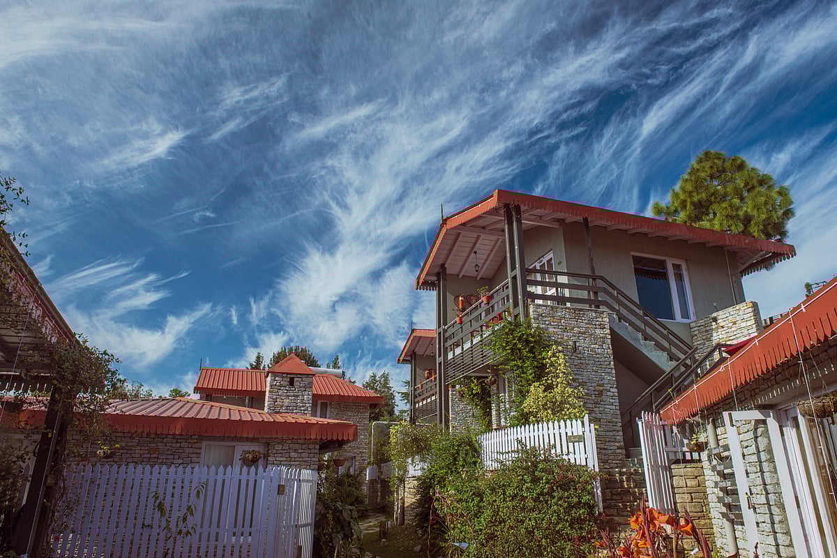 The Birdcage reflects a harmonious blend of contemporary aesthetics and traditional elements