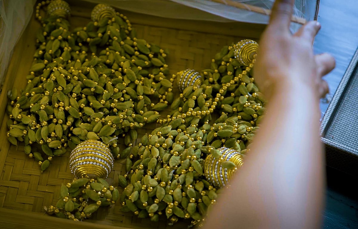 Alappuzha is well-known for its high-quality cardamom exports  - null