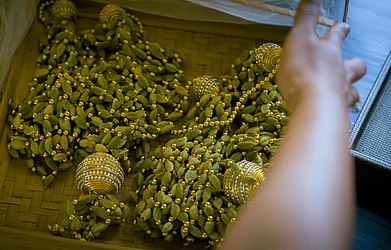 Alappuzha is well-known for its high-quality cardamom exports