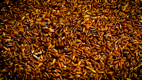 Farming in the Kaipad rice tracts is natural, relying on the monsoon season and sea tides