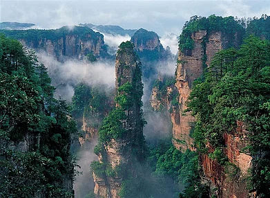 Global Geoparks Network : Tall sandstone peak forest landforms covering most of Zhangjiajie geoparks area