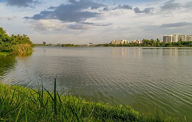 Mike Prince/Flickr : The placid waters of Jakkur Lake in Bengaluru