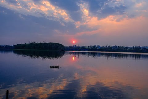 Agara Lake in Bengaluru