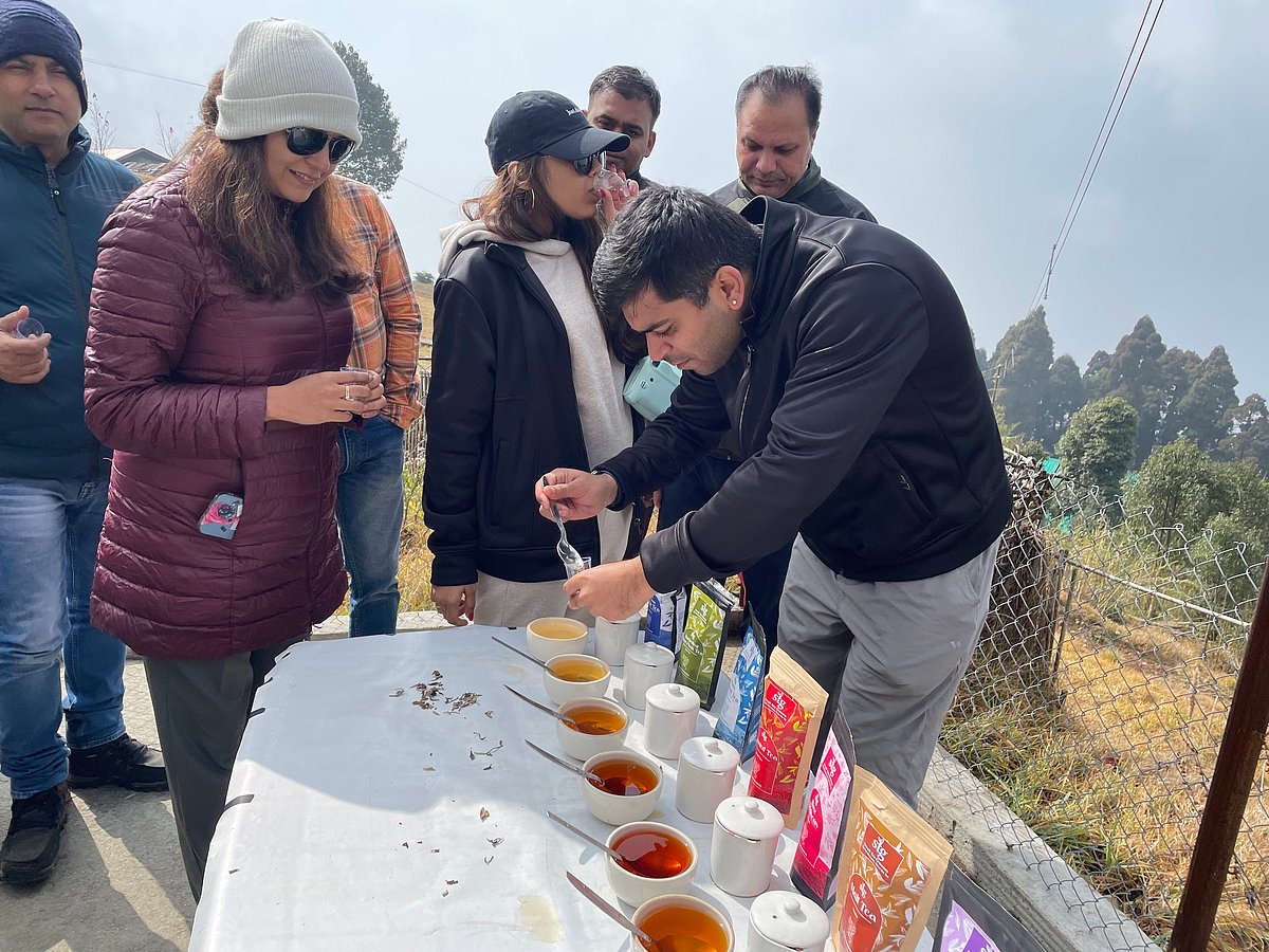 At a tea tasting ceremony organised by Neil Law