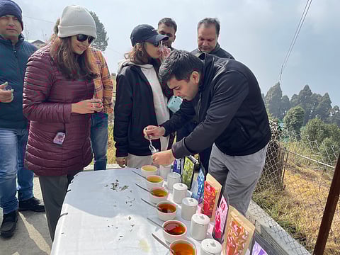 At a tea tasting ceremony organised by Neil Law