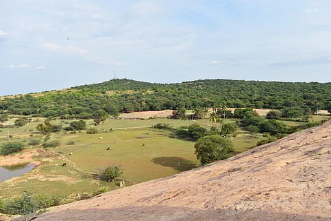 Narthamalai is surrounded by thin forest cover on its eastern edge