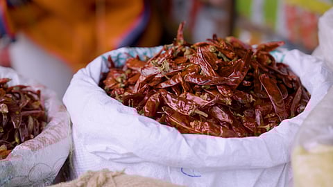 Guntur Sannam Chilli