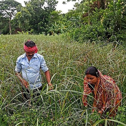 Workers collect material for mats