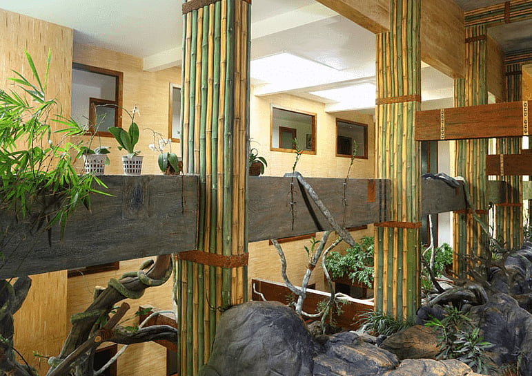 Chandys Windy Woods in Munnar is a hill-top nature resort