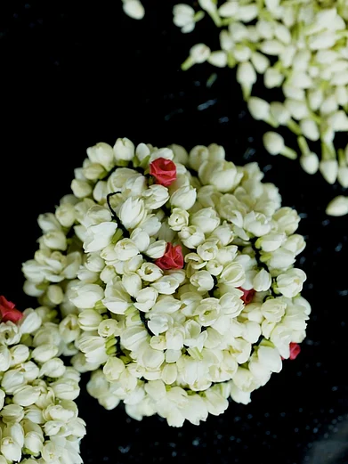 Tamil Nadu Tourism : From handicrafts to food, learn about some of Tamil Nadu’s beautiful GI-tagged products