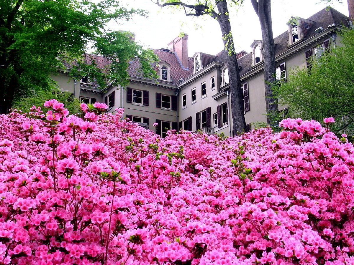 Winterthur Museum was once the home of Henry Francis du Pont.