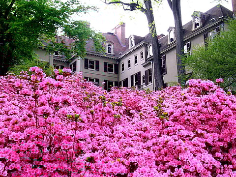 Winterthur Museum was once the home of Henry Francis du Pont.