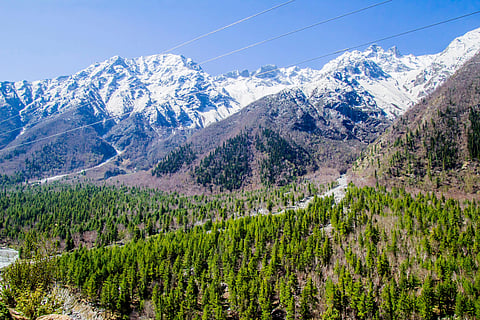 Rakchham is a village in the Sangla Valley of Himachal Pradesh