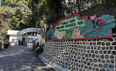 darjeelingzoo.in : Indias first frozen zoo comes up at the Padmaja Naidu Himalayan Zoological Park in Darjeeling.