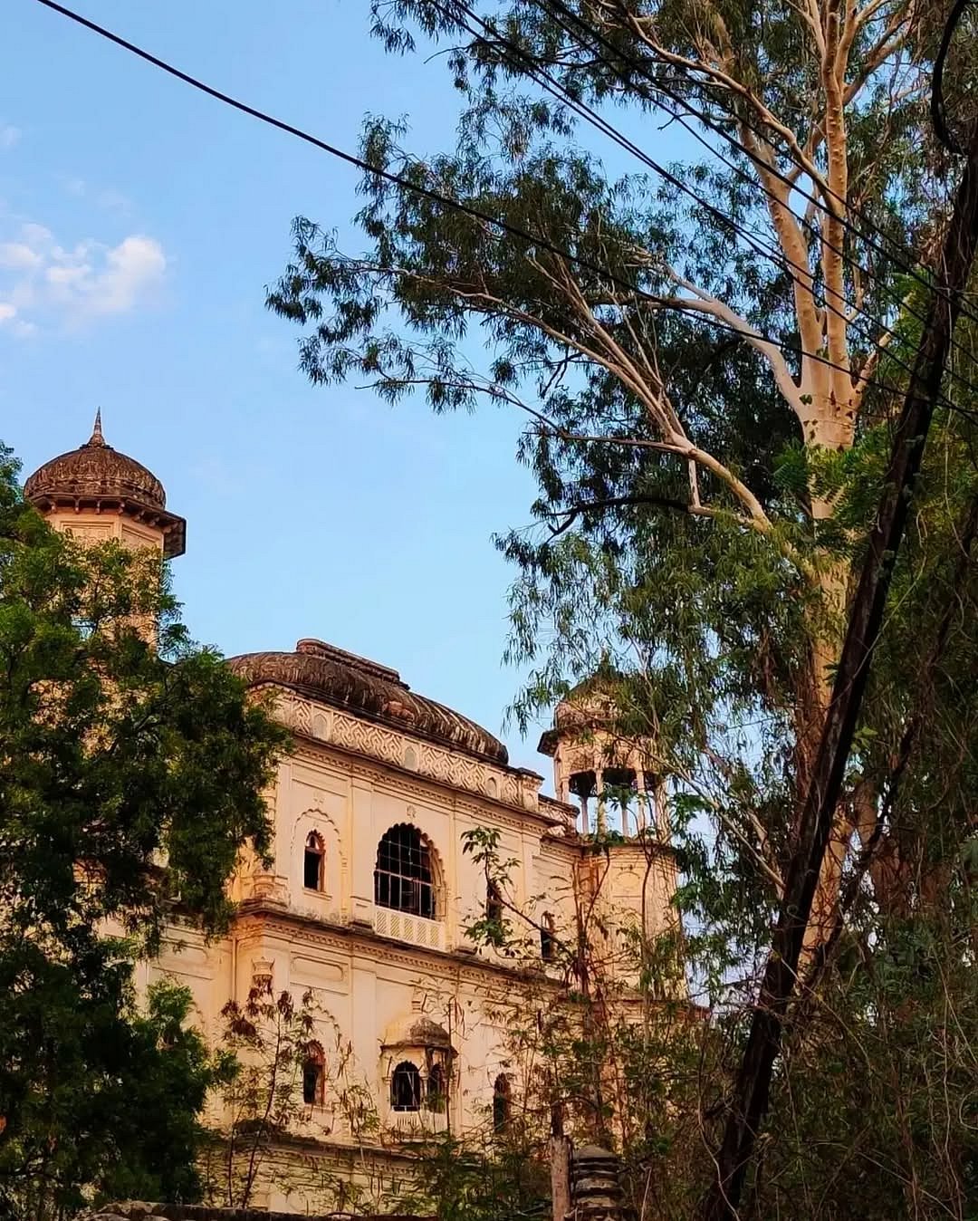  A key aspect of this project is transforming the historic Butler Palace into a vibrant art gallery