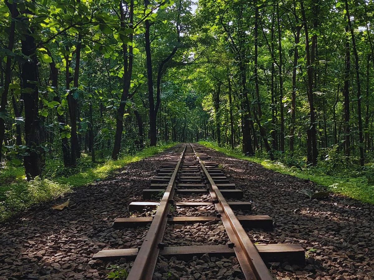 Seminary Hills in Nagpur is a nature lovers paradise