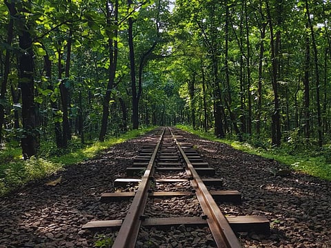 Seminary Hills in Nagpur is a nature lover's paradise