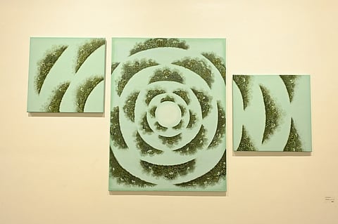 An interesting work at 'Ishq Chaman'